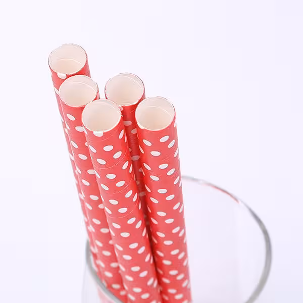 1-2-pailles-en-papier-droites_23 Pailles en papier droites – Image 1